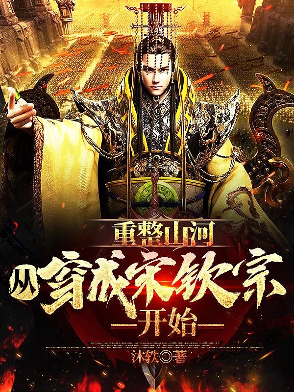 重整山河,从穿成宋钦宗开始封面