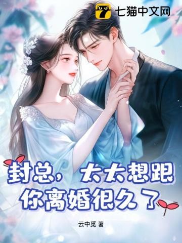 封总,太太想跟你离婚很久了封面