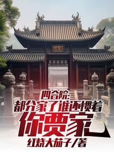 四合院:都分家了谁还惯着你贾家封面
