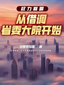 权力巅峰:从借调省委大院开始封面