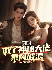 官场:救了神秘大佬,乘风破浪封面