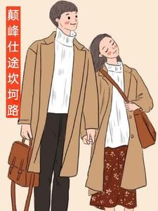 官途从县长秘书起飞封面