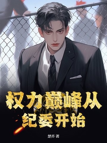 权力巅峰从纪委开始封面