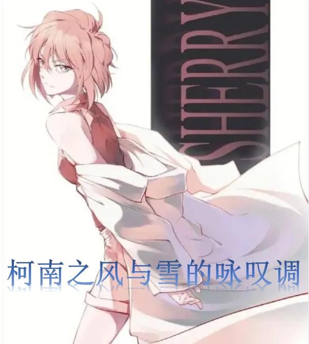 柯南之风与雪的咏叹调封面