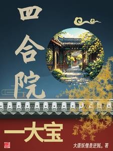 四合院一大宝儿封面
