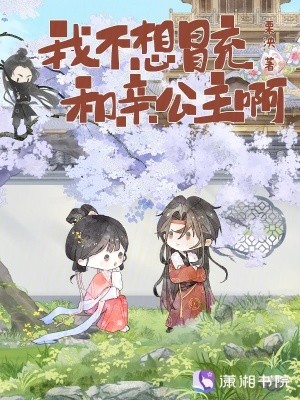 我不想冒充和亲公主啊封面