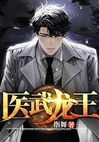 医武龙王封面