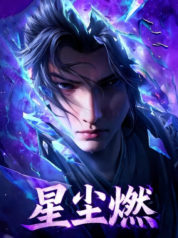 星尘燃封面