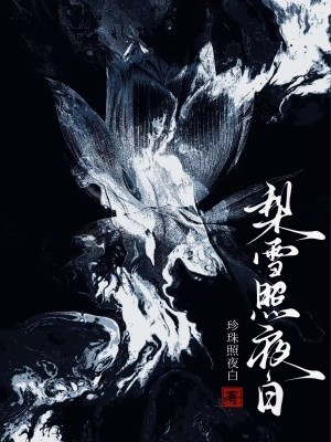 梨雪照夜白封面