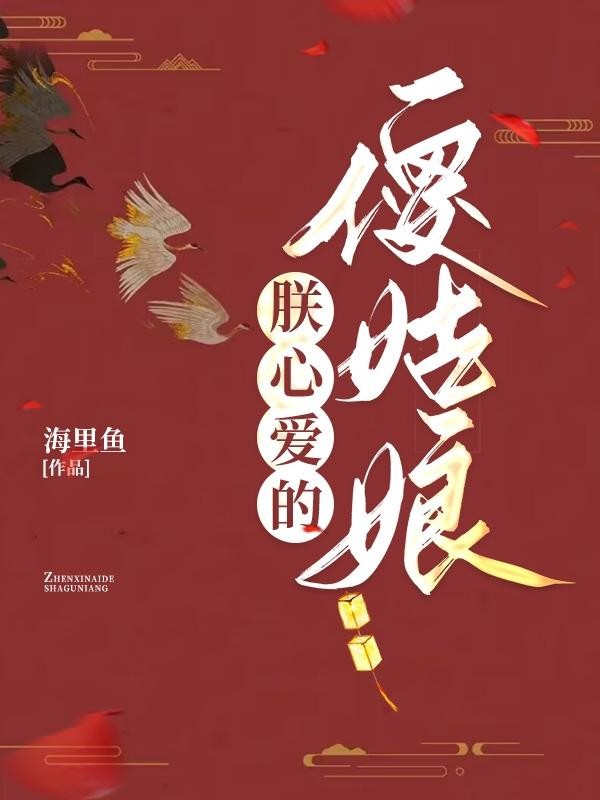 朕心爱的傻姑娘封面