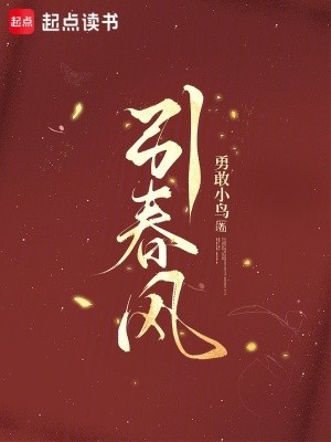 引春风封面