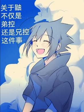 关于鼬不仅是弟控还是兄控这件事封面