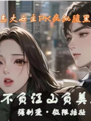 不负江山负美人封面