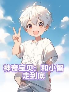 神奇宝贝:和小智走到底封面