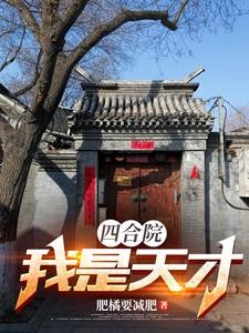 重生1958:我家在南锣鼓巷封面