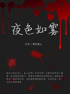 夜色如雾封面