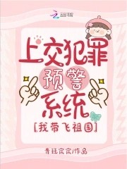 上交犯罪预警系统,我带飞祖国封面