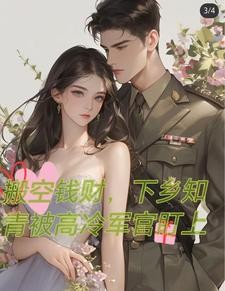 搬空钱财,下乡后被高冷军官盯上封面