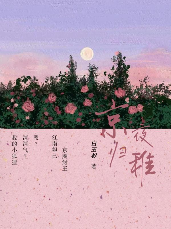 京夜归稚封面