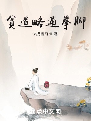 贫道略通拳脚封面