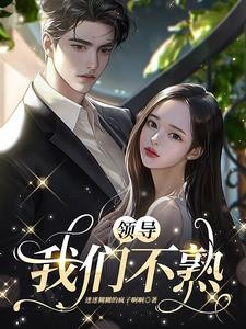 领导,我们不熟封面