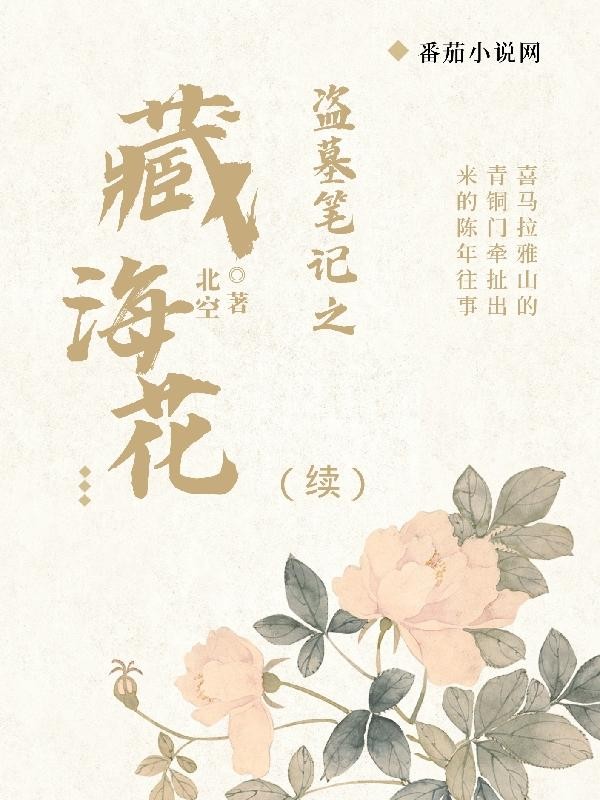 盗墓笔记之藏海花【续】封面