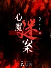 心魔谜案封面