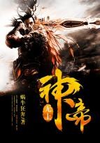 无上神帝封面