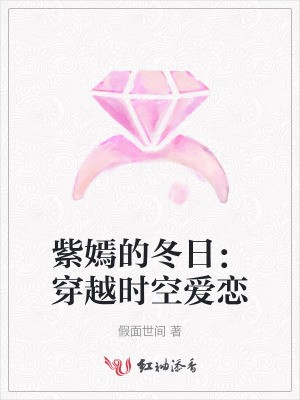 紫嫣的冬日:穿越时空爱恋封面