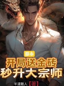 都市:开局送金砖,秒升大宗师封面