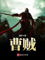 曹贼封面