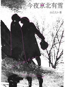 今夜京北有雪封面