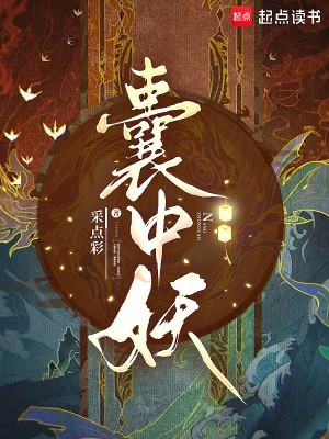 囊中妖封面
