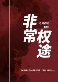 非常权途封面
