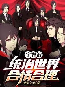 宇智波统治世界合情合理封面
