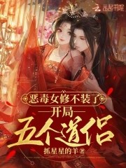 恶毒女修不装了,开局五个道侣封面