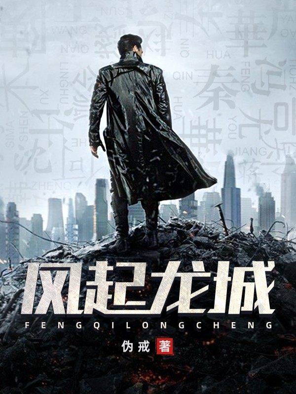风起龙城封面