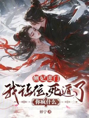 侧妃进门我让位,死遁了你疯什么封面
