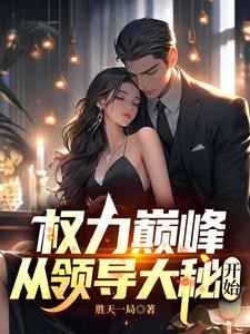权力巅峰从领导大秘开始小说封面