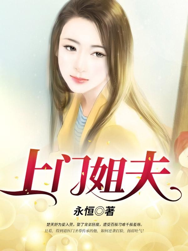 上门姐夫封面