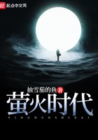 萤火时代封面