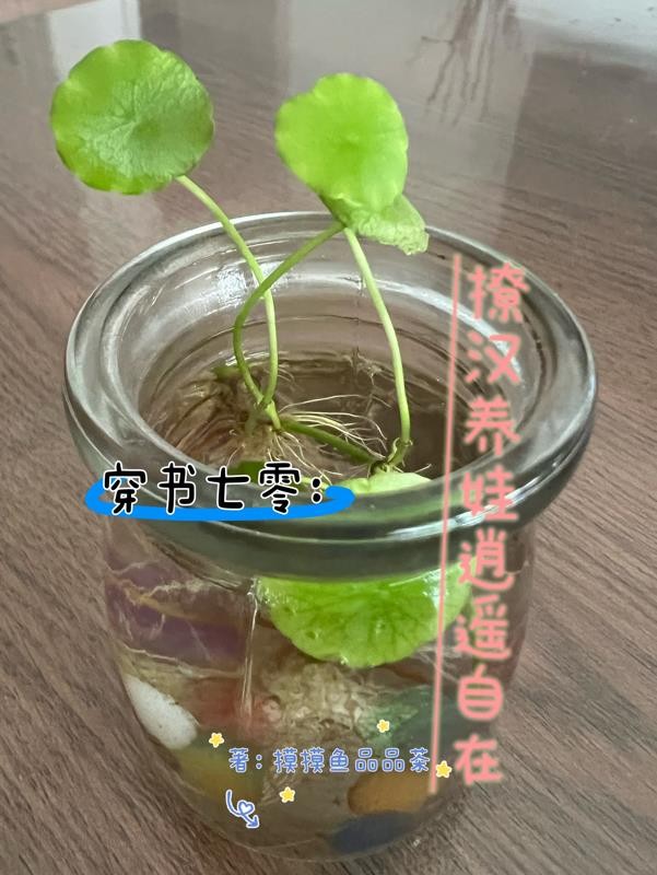 穿书七零:撩汉养娃逍遥自在封面