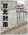 铁胆佣兵封面