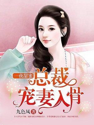一夜甜蜜:总裁宠妻入骨封面