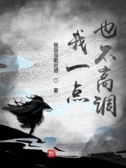 我一点也不高调封面