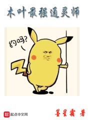 木叶最强通灵师封面