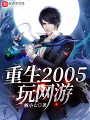 重生2005玩网游封面