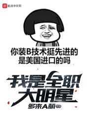 我是全职大明星封面