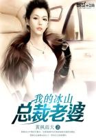 我的冰山总裁老婆封面