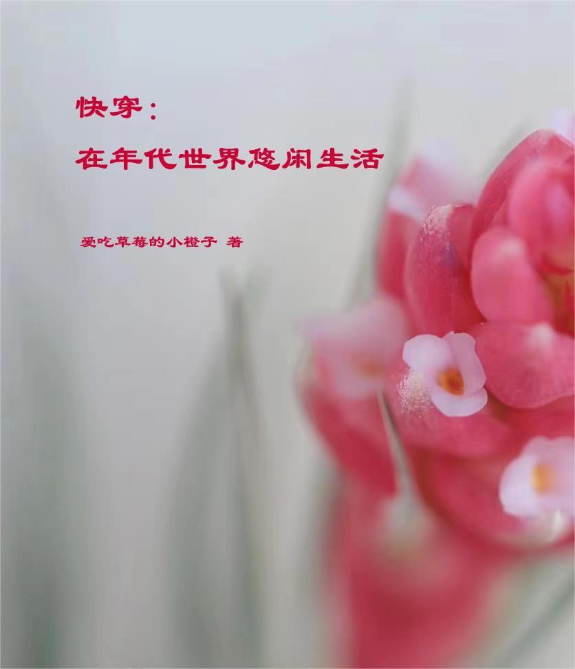 快穿:在年代世界悠闲生活封面